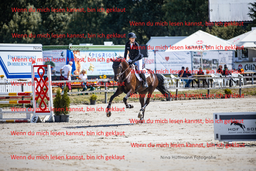 BK1A5020 | Turnierbilder Turnierfotos Nina Hüffmann Turnierfotografie Pferdefotografie Tierzeichnung Haustierzeichnung Pferdezeichnung Hundezeichnung Videograf  - Realisiert mit Pictrs.com