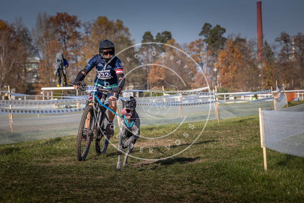 CaniXpix_0L8A7401 | Hundefotografie, Tierfotograf, Pfotenfotografie, Fotoshooting Hund, Hunde Portrait, Hundesport, Hundeportraits, Heideshooting, Hunde, Sportfotograf, Hundefotograf, Turnierhundsport, THS,  - Realisiert mit Pictrs.com