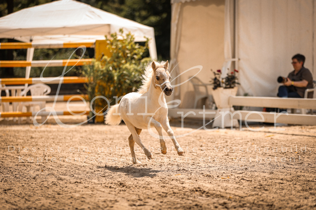 01.DoKR00173 | Leoni Ertmer Photography - Realisiert mit Pictrs.com