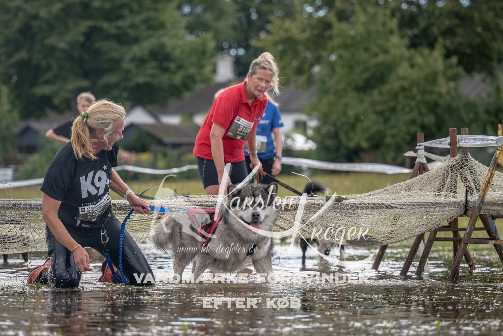 1335_ZZ90270 | kk-dogfotos