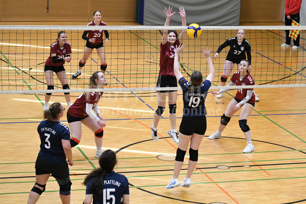 TSV Plattling Volleyball : VSG Passau/Fürstenzell | TSV Plattling IsarVolleys Damen - Realisiert mit Pictrs.com