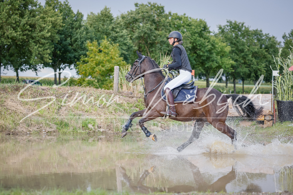20250905-_3LI1668 | Tierfotografie Pferde, Hunde, Katzen, Haustiere.
Turnierfotografie Reitturniere, Reiten, Springreiten, Dressur in Hanau, dem Main-Kinzig-Kreis und dem Rhein-Main- Gebiet um Frankfurt