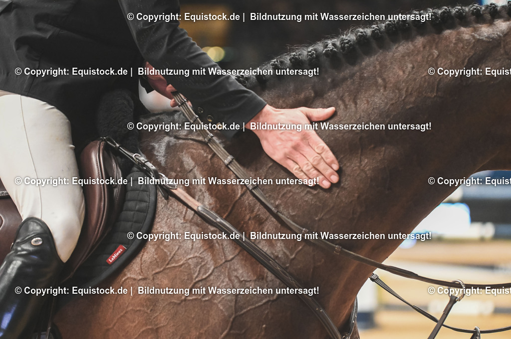 20251116_FEI-Jumping-World-Cup_TOMSPIC_0259 | Foto: Thomas Hartig