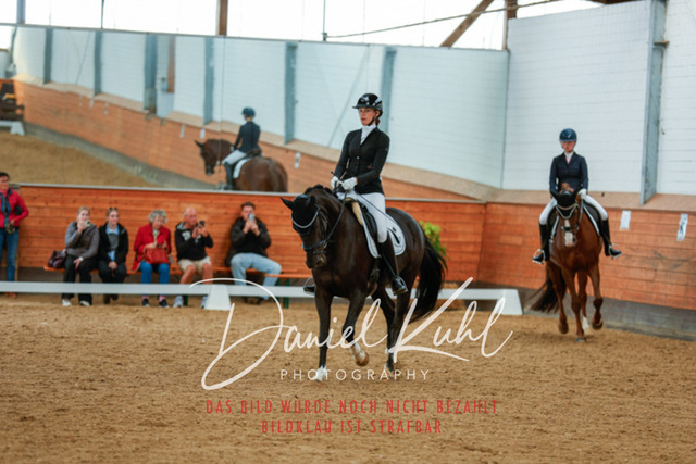 _62_5913 | Turniersportfotografie; Pferdefotografie; Dressurfotografie