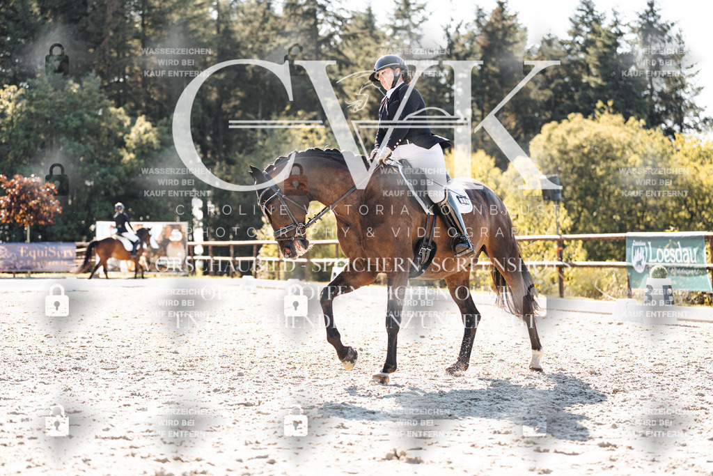 CK906176 | Turnierfotografie Pferdefotografie Trier Rheinland-Pfalz Pferdesport Reitsport Tierfotografie Sportfotografie Pferdevideo Pferdevideografie Equestrianvideography equestrianphotography  - Realisiert mit Pictrs.com