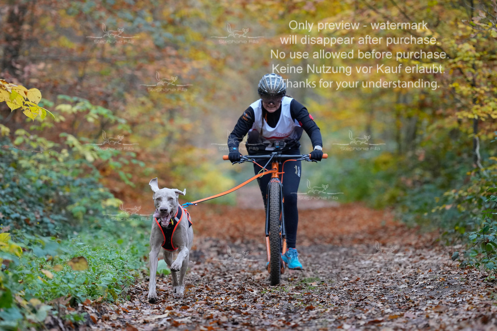 Scooter_So-25 | stephaniefillaphotographie - Realisiert mit Pictrs.com