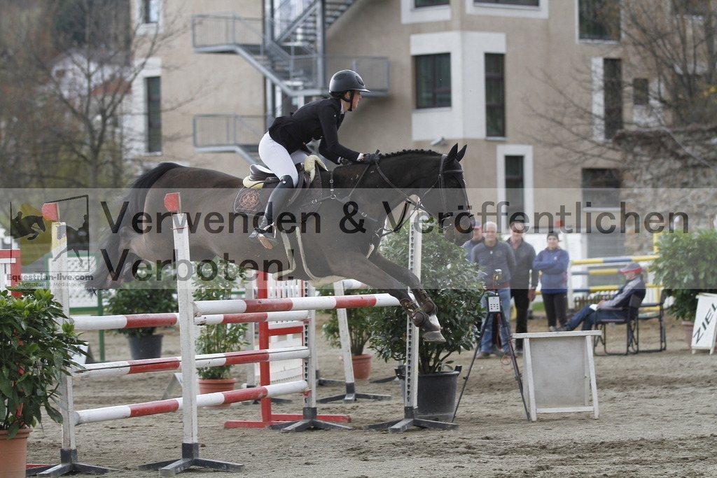 _MG_8446 | equestrian-live-com