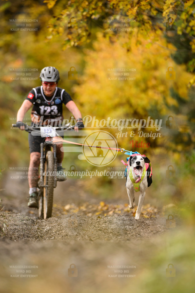 MompixPhotography_ICF_WC_2024_SA_Bike_-100 | PayLife