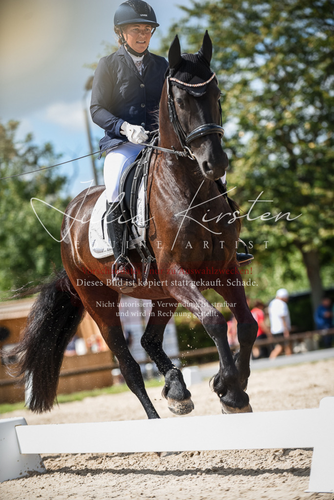DSC_9169 | Pferde- und Turnierfotografie in Westsachsen. Pferdeportraits, Auftragszeichnungen und intuitive Kunst.