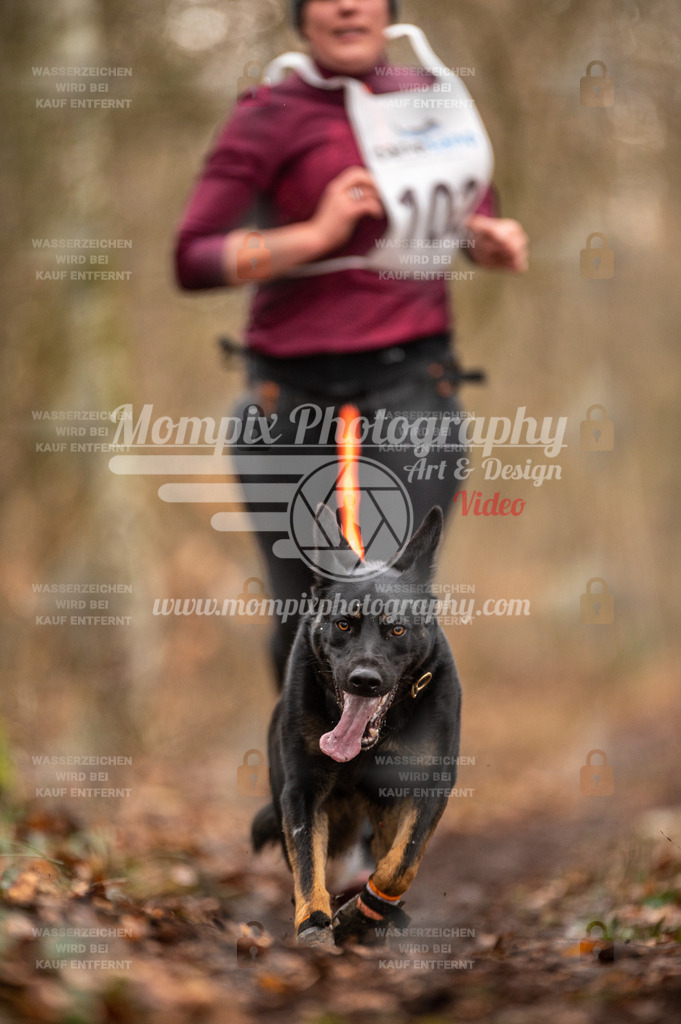 Reiat2023_SON_CaniXRun_5km_W-20 | PayLife