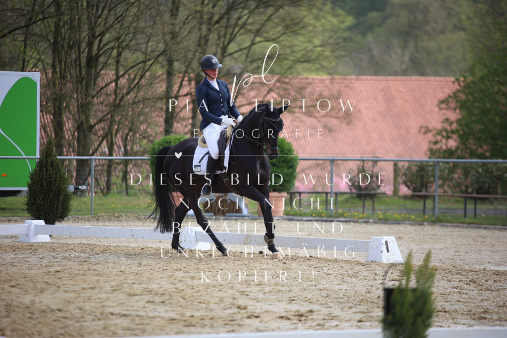 IMGT6331 | pl-fotografie