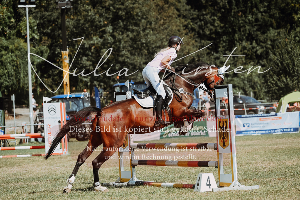 DSC_9738 | Pferde- und Turnierfotografie in Westsachsen. Pferdeportraits, Auftragszeichnungen und intuitive Kunst.