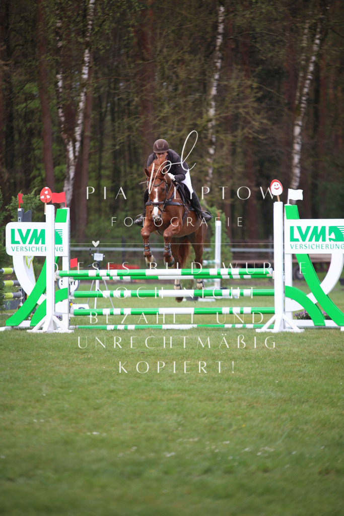 IMGT2282 | pl-fotografie