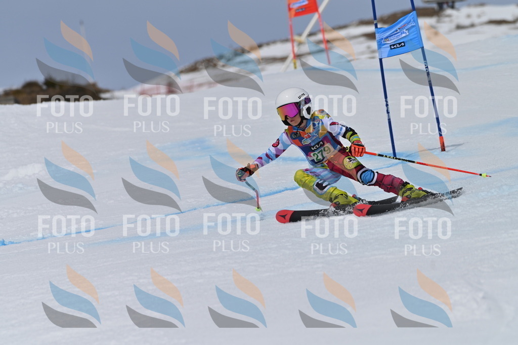 BGV_5553 | holidayphoto