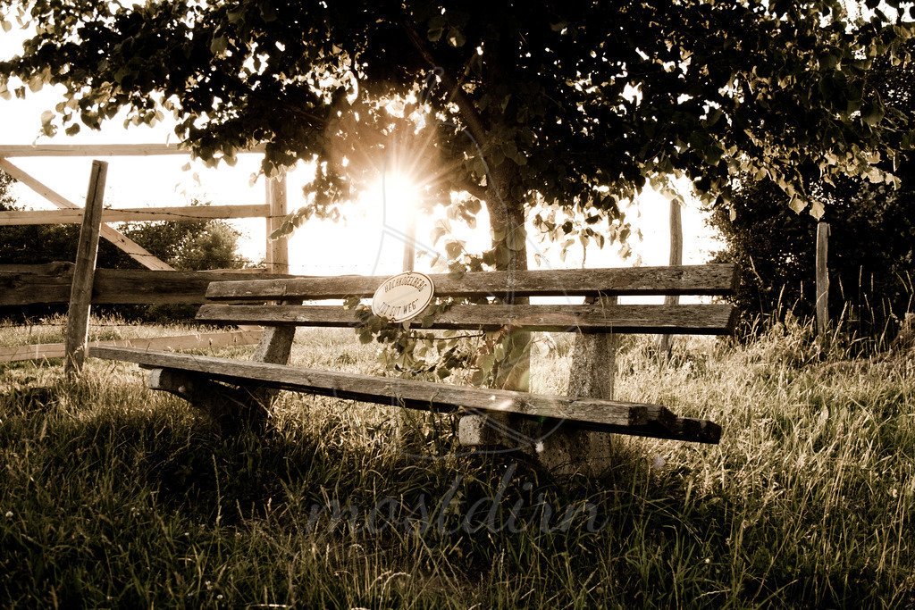 Bankerl am Hochkogelberg | Bei Veröffentlichung des Bildes ist eine Namensnennung wie folgt erforderlich: 
Foto: Mostdirn Irmgard Wieser - Realisiert mit Pictrs.com