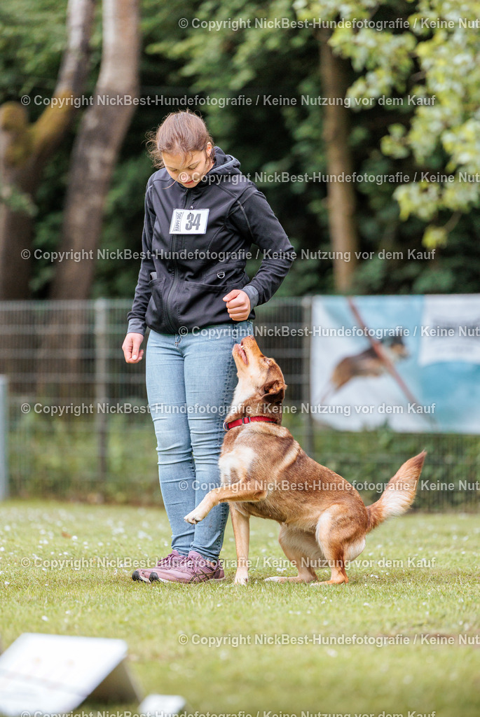 RO-Blumenthal-2026-Nickbest-Hundefotografie-2790 | Dein Hund! Dein Moment! Deine Erinnerungen! Hundefotografie in Bremen Blumenthal. Ich fange die besonderen Momente deines Vierbeiners ein – ob Indoor mit Blitzanlage oder in der freien Natur. Sicher dir dein Moment und dein Termin für eure Erinnerungen.