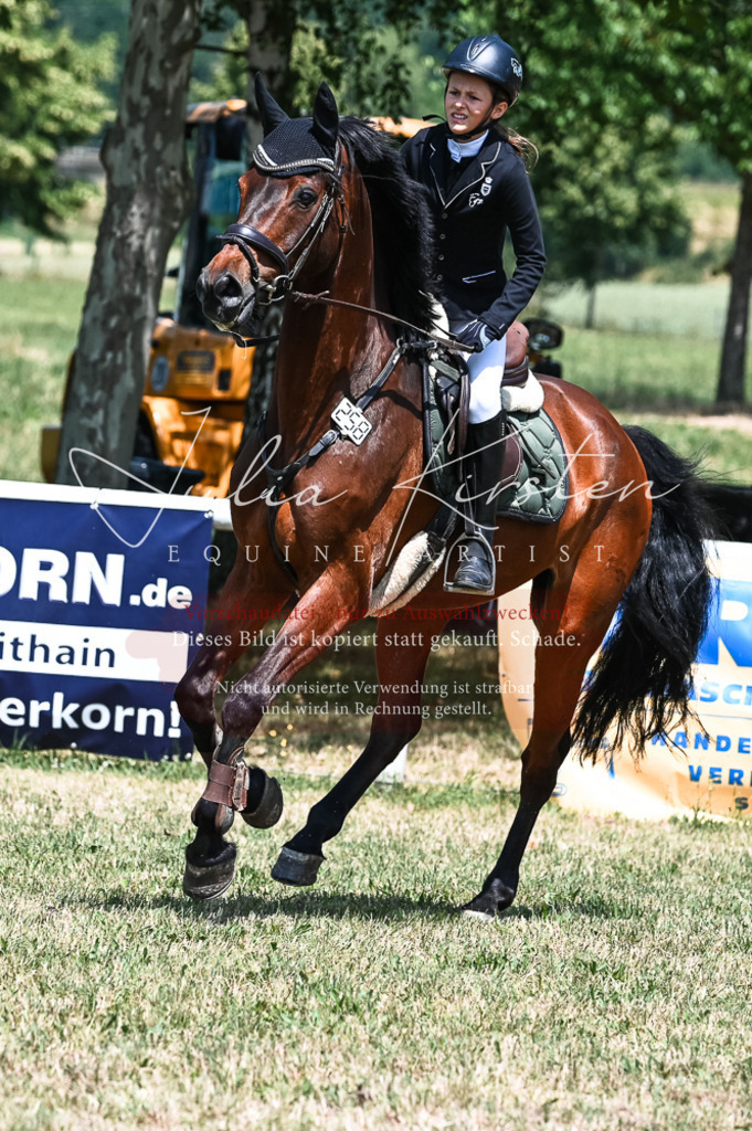 DSC_9861 | Pferde- und Turnierfotografie in Westsachsen. Pferdeportraits, Auftragszeichnungen und intuitive Kunst.