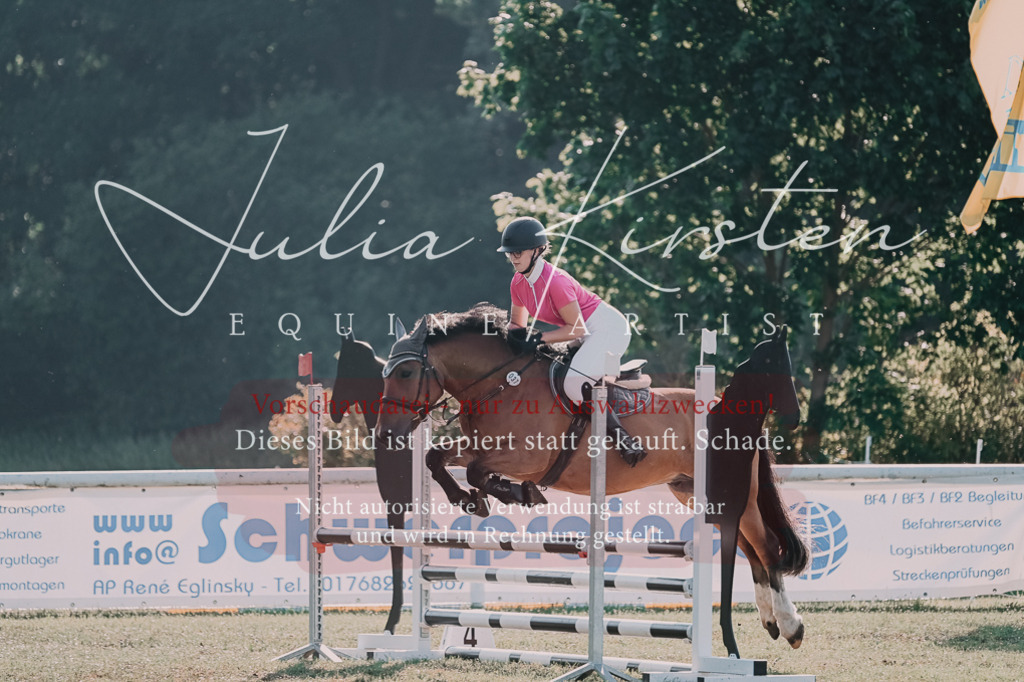 DSC_4574 | Pferde- und Turnierfotografie in Westsachsen. Pferdeportraits, Auftragszeichnungen und intuitive Kunst.