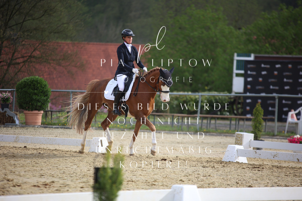 IMGT6929 | pl-fotografie