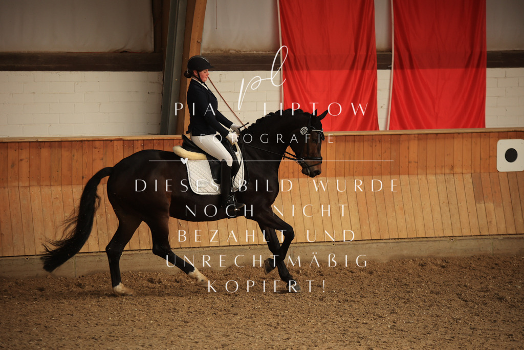 IMGT4646 | pl-fotografie