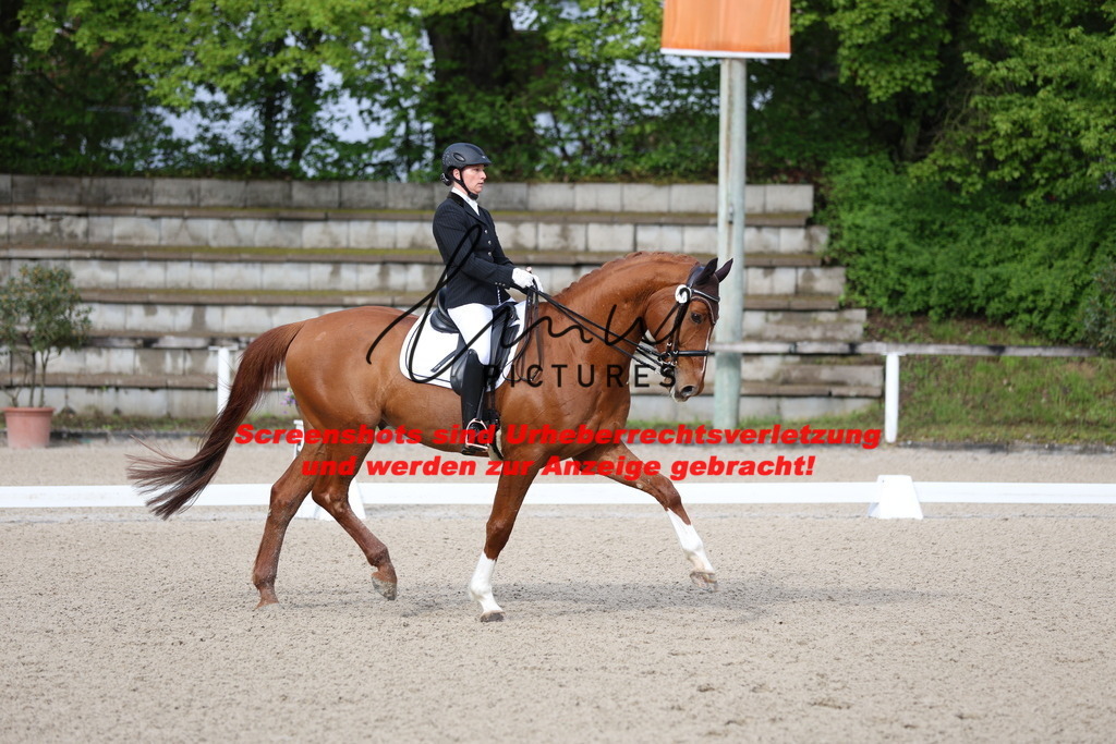 A40A0104 | lmwpictures - Realisiert mit Pictrs.com