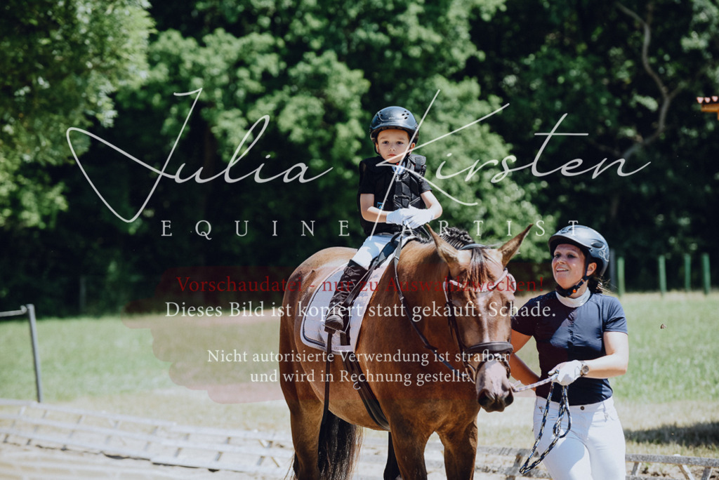 DSC_2635 | Pferde- und Turnierfotografie in Westsachsen. Pferdeportraits, Auftragszeichnungen und intuitive Kunst.