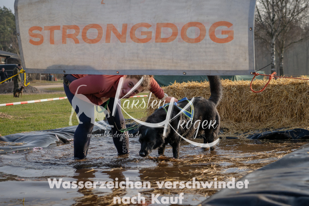 _ZZ91175 | kk-dogfotos