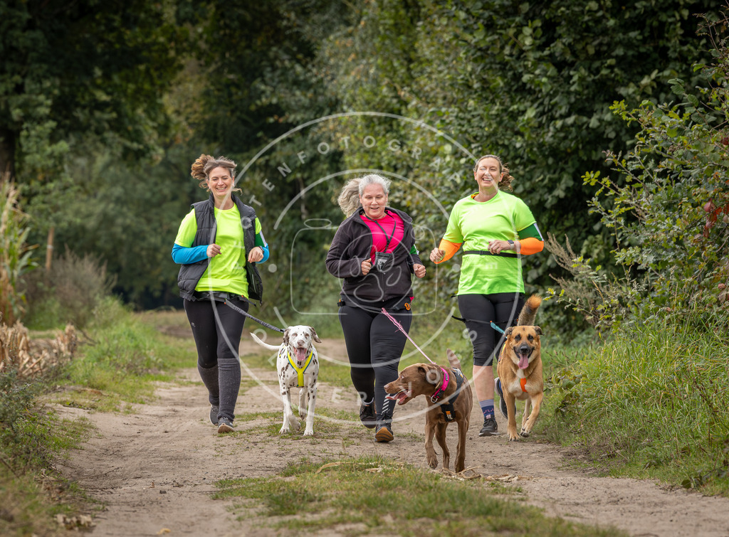 Pfotenfotografie_DV3A5998 | Hundefotografie, Tierfotograf, Pfotenfotografie, Fotoshooting Hund, Hunde Portrait, Hundesport, Hundeportraits, Heideshooting, Hunde, Sportfotograf, Hundefotograf, Turnierhundsport, THS,  - Realisiert mit Pictrs.com