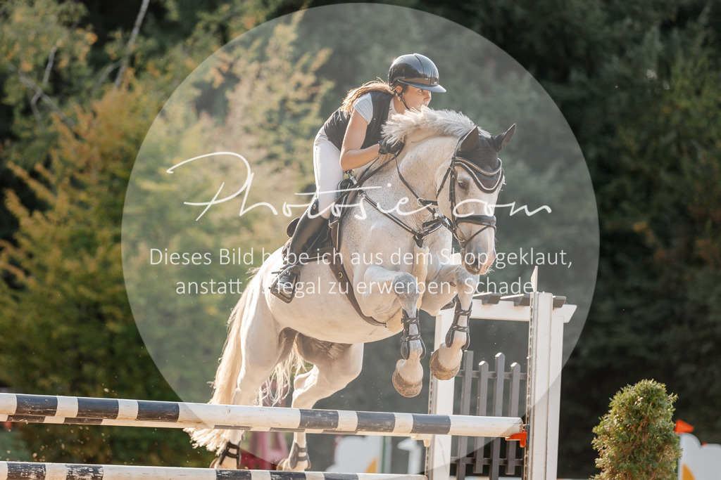 3I6A5227 | Stimmungsvolle Portraits und Reitsportfotografie im Ruhrgebiet und im Münsterland.

Pferdefotografie, Hundefotografie, Tierfotografie, Reportagen, Portraits von Tier und Mensch, Turnierfotografie in Bochum, Recklinghausen, Marl, Haltern am See, Dülmen.. - Realisiert mit Pictrs.com