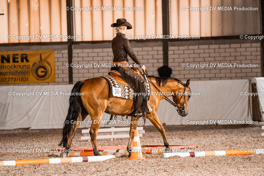 ZH200613 | dv-media-shop - Realisiert mit Pictrs.com