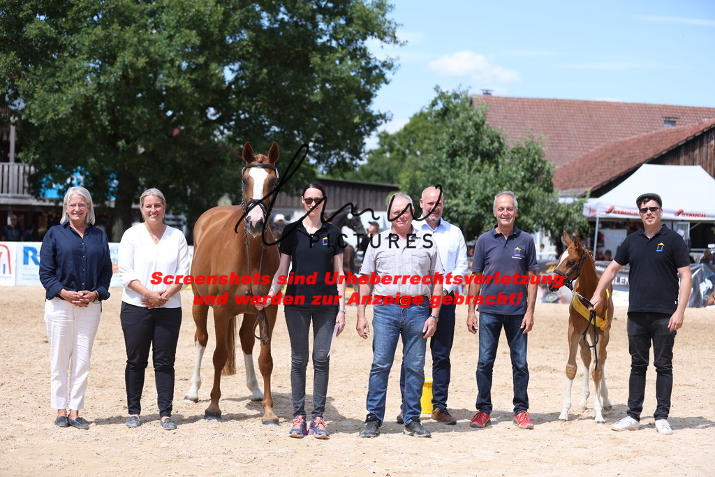 Fohlenschau_Schwäbisch_Hall_springbetonte_Fohlen_SIEGERFOHLEN_KN 22_9 | lmwpictures - Realisiert mit Pictrs.com