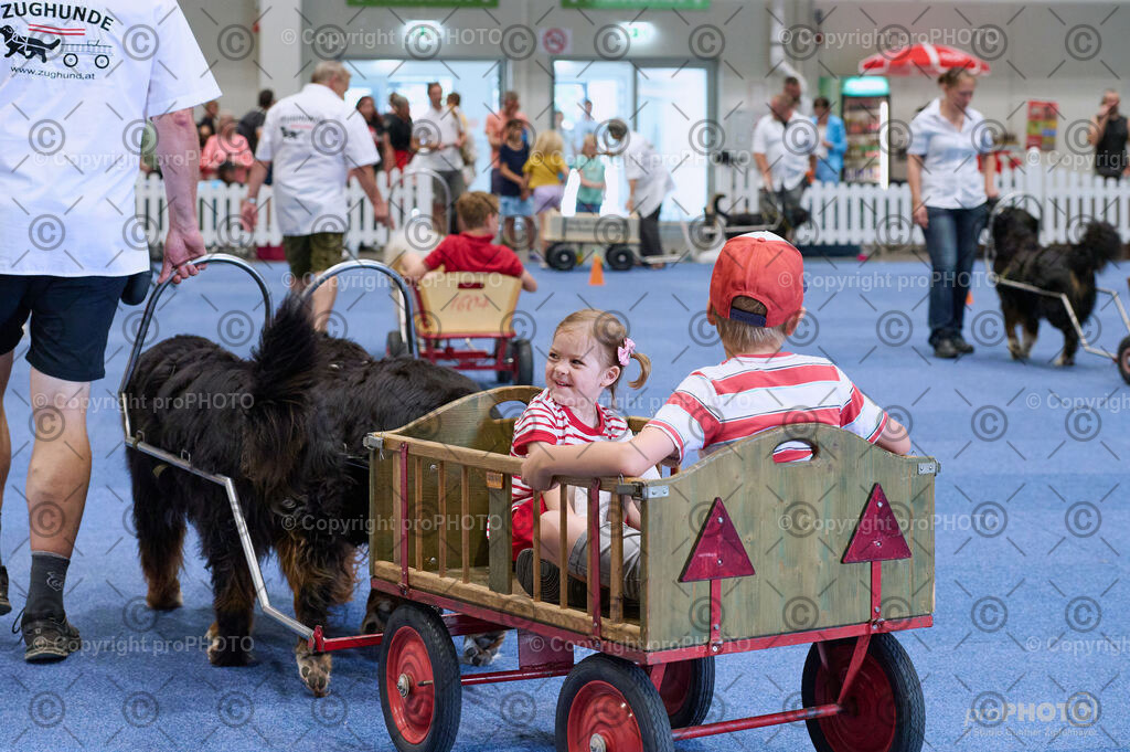 202406_ÖKV-IHA-Tulln24_DSC_4682 | proPHOTO - Realisiert mit Pictrs.com