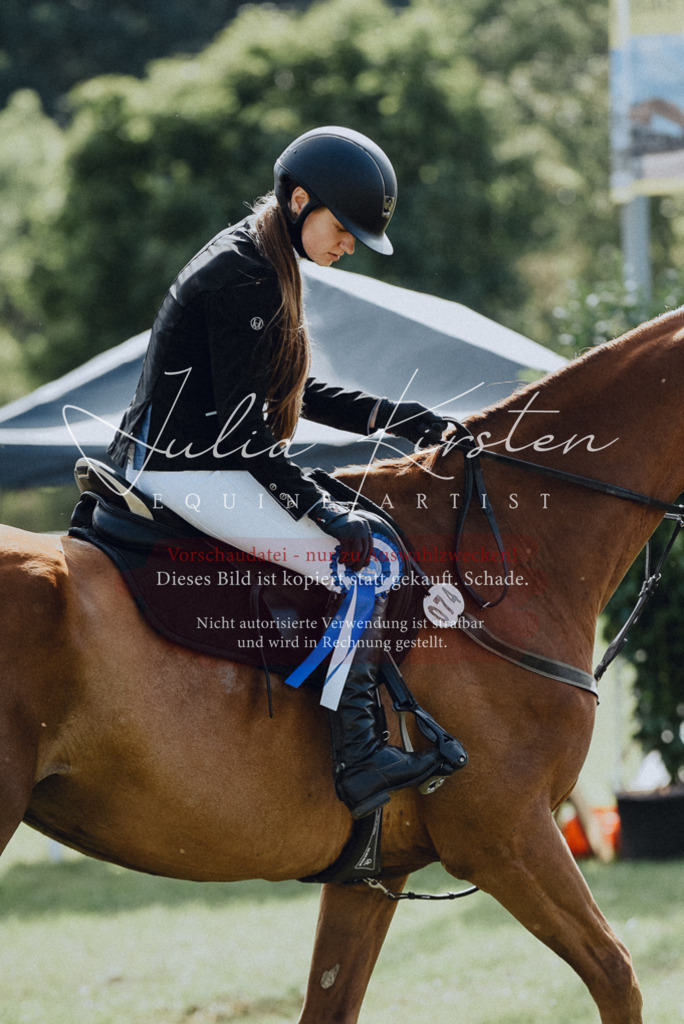 DSC_8969 | Pferde- und Turnierfotografie in Westsachsen. Pferdeportraits, Auftragszeichnungen und intuitive Kunst.