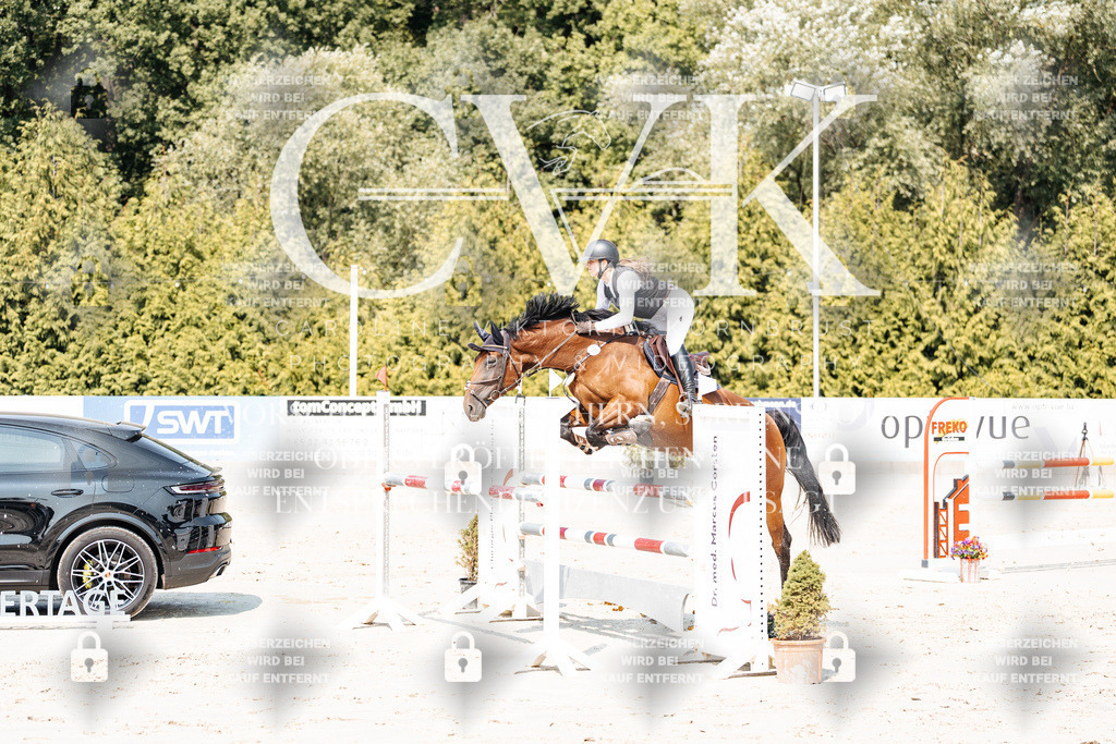 CK901862 | Turnierfotografie Pferdefotografie Trier Rheinland-Pfalz Pferdesport Reitsport Tierfotografie Sportfotografie Pferdevideo Pferdevideografie Equestrianvideography equestrianphotography  - Realisiert mit Pictrs.com
