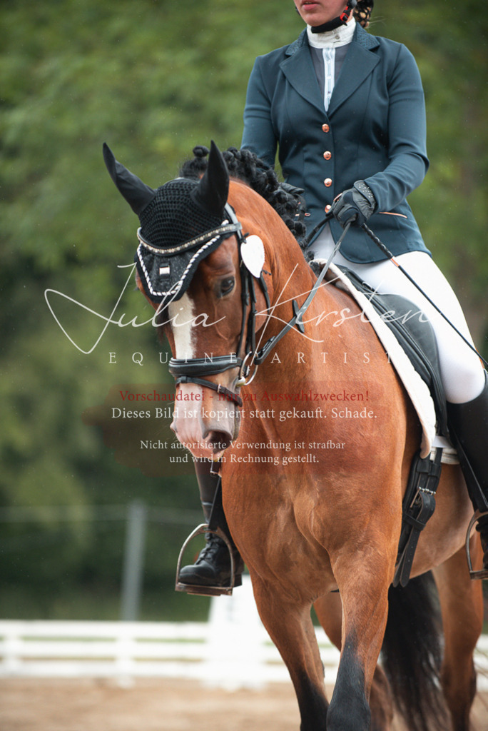 DSC_9855 | Pferde- und Turnierfotografie in Westsachsen. Pferdeportraits, Auftragszeichnungen und intuitive Kunst.