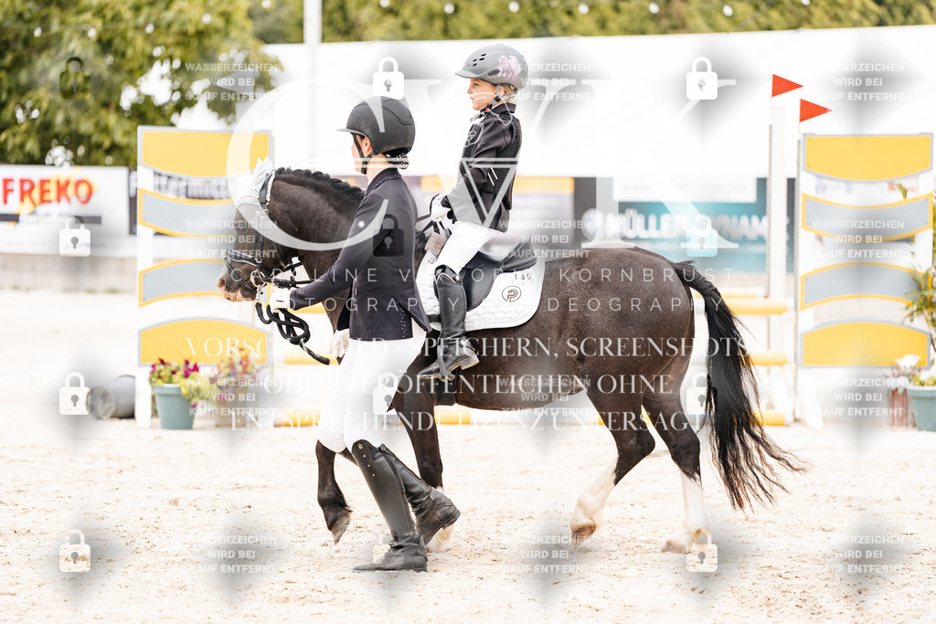 CK907264 | Turnierfotografie Pferdefotografie Trier Rheinland-Pfalz Pferdesport Reitsport Tierfotografie Sportfotografie Pferdevideo Pferdevideografie Equestrianvideography equestrianphotography  - Realisiert mit Pictrs.com