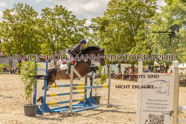 26-7-23 SPR A++-653 | mandyhollmannphotographie