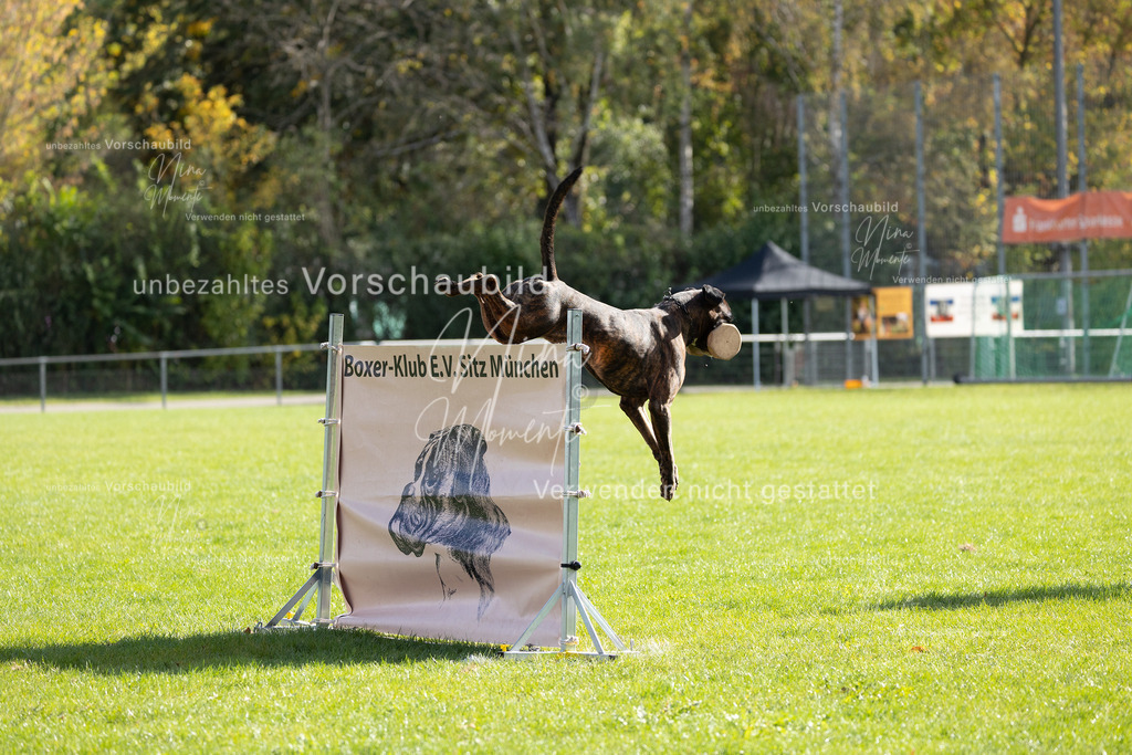 _16A6843 | Einzigartige Fotos von Hunden & Menschen –Actionfotos, Portraits, Vereinsaufnahmen & Paarshootings – authentisch, lebendig & mit Herz.