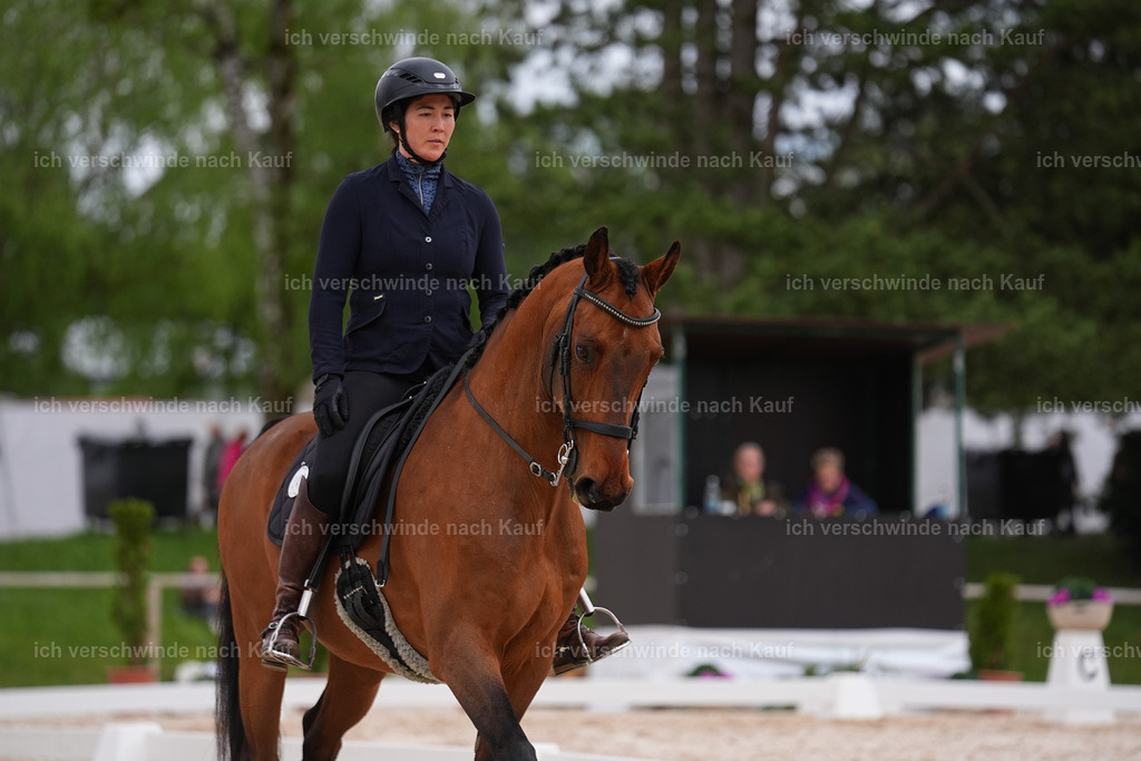 PI26_DR_248_Stoibphotography_SIN00385.jpg | working equitationturnier fotograf videograf stoibphotography marixx film working equitation deutschland reitsport turnierfotografie eventfotografie equestrian events