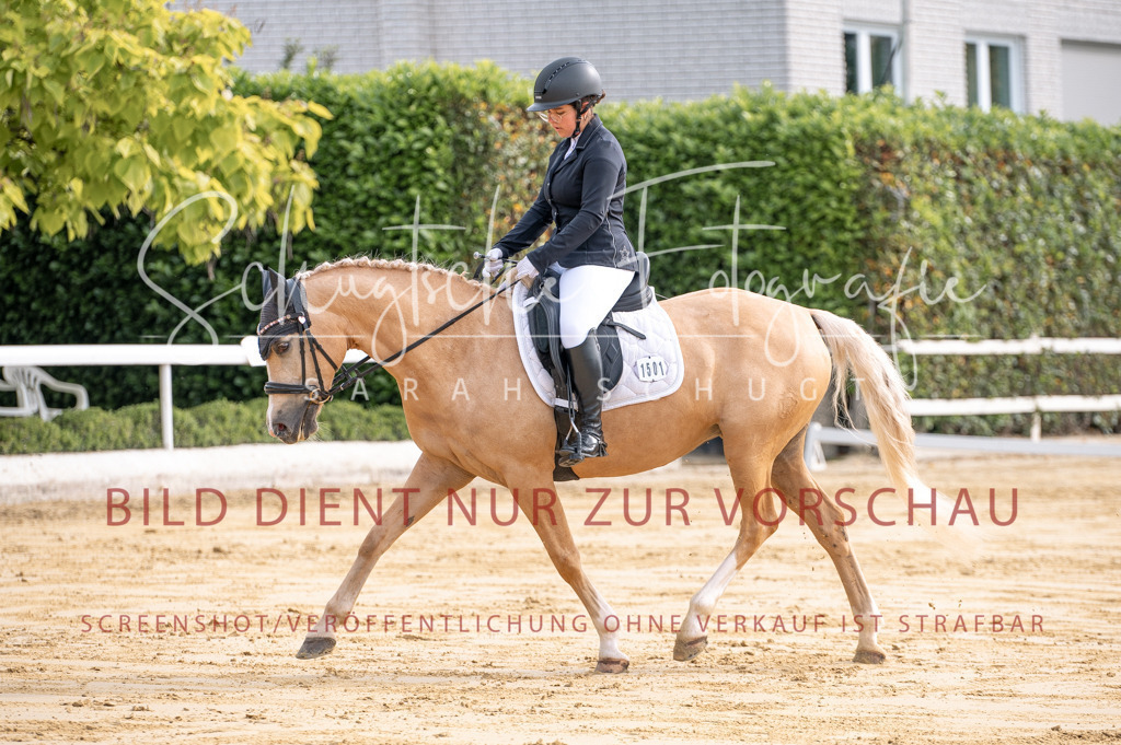 Schugtsche-Aluta25-40.DressurprfA_-91 | Schugtsche Fotografie - Realisiert mit Pictrs.com
