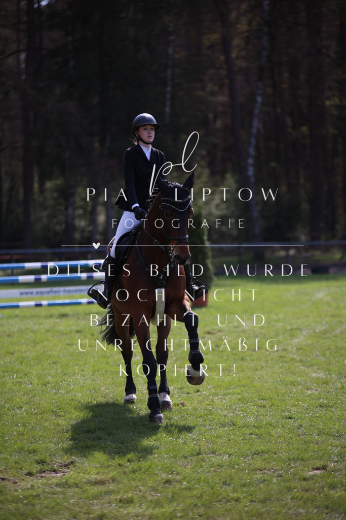 IMGT5887 | pl-fotografie