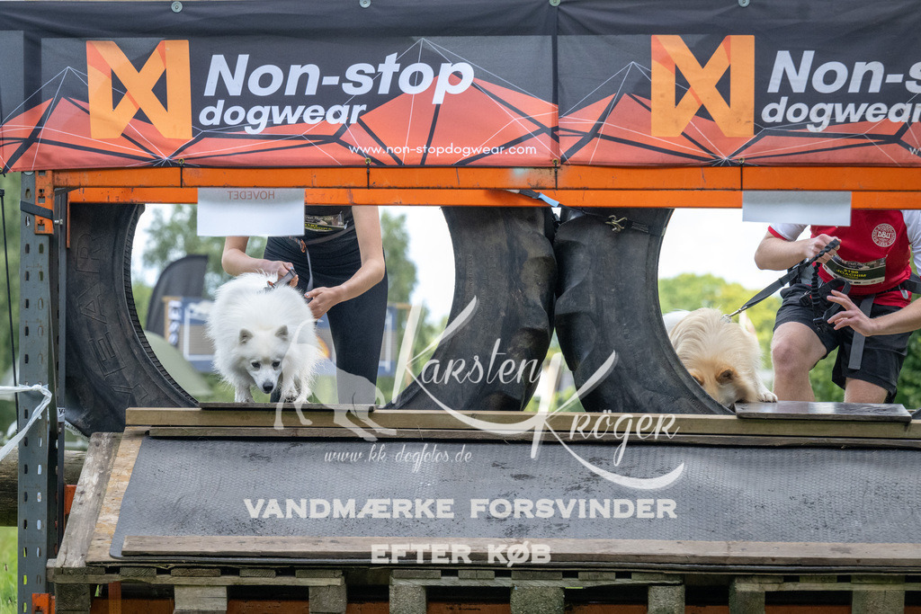 1329_ZZ90045 | kk-dogfotos