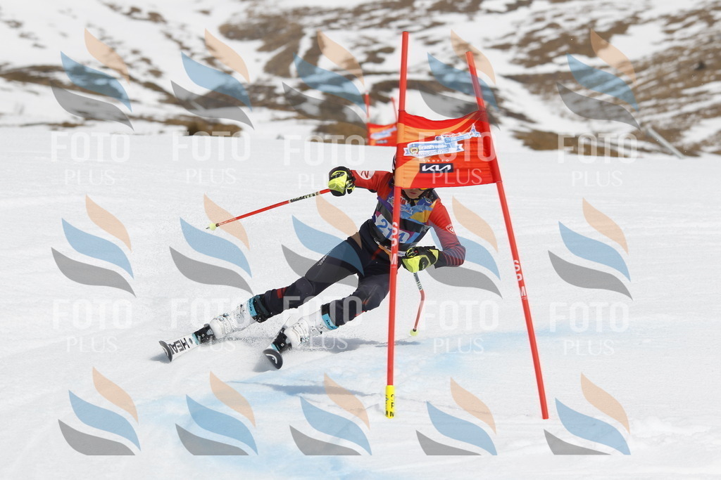 _U3G2281 | holidayphoto