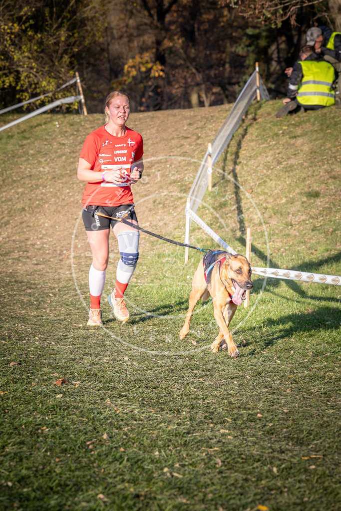 CaniXpix_0L8A9916 | Hundefotografie, Tierfotograf, Pfotenfotografie, Fotoshooting Hund, Hunde Portrait, Hundesport, Hundeportraits, Heideshooting, Hunde, Sportfotograf, Hundefotograf, Turnierhundsport, THS,  - Realisiert mit Pictrs.com
