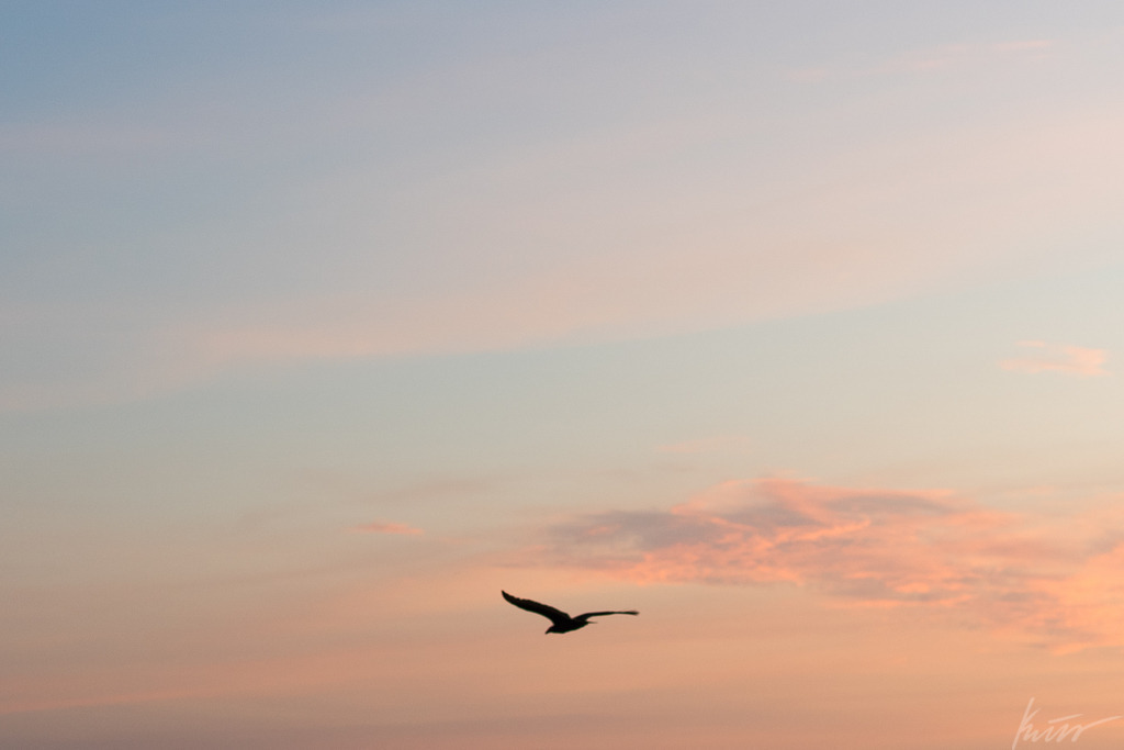 _DSC0664 | In meinem Onlineshop biete ich nur sehr kritisch ausgewählte Fotografien an. Diese sind von meinen Reisen oder Kurztrips. Ich habe sie ausgewählt, da diese meiner Meinung Nach wunderbare Wandbilder darstellen.  - Realisiert mit Pictrs.com