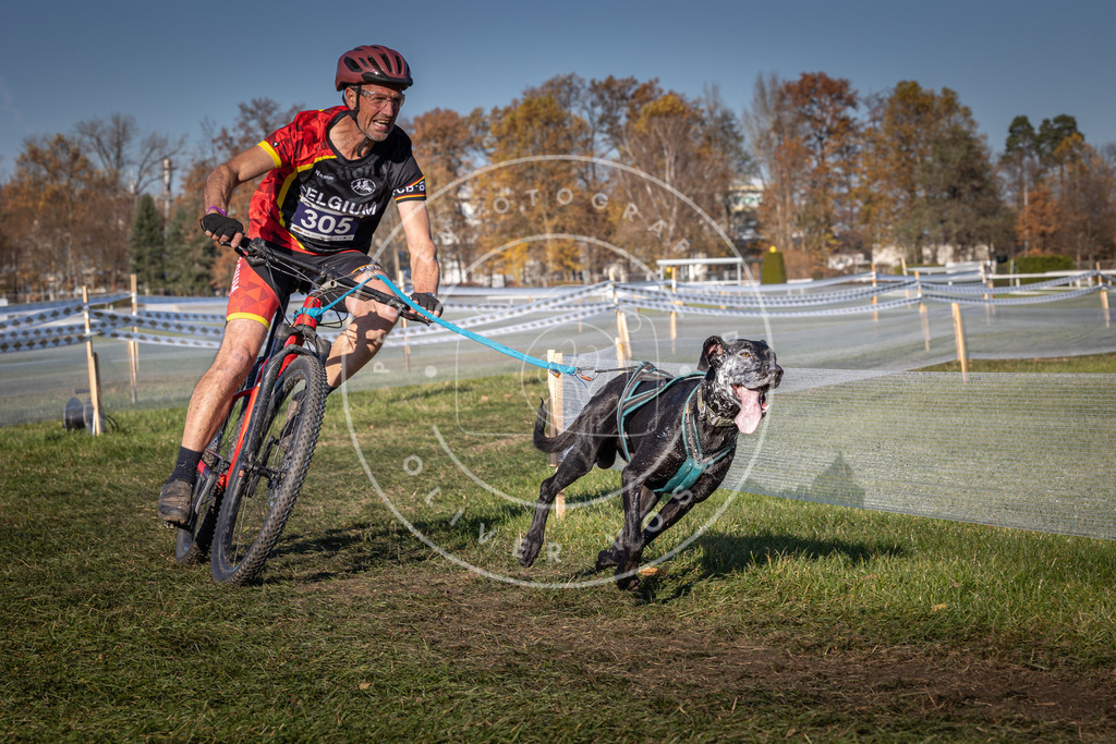 CaniXpix_0L8A5501 | Hundefotografie, Tierfotograf, Pfotenfotografie, Fotoshooting Hund, Hunde Portrait, Hundesport, Hundeportraits, Heideshooting, Hunde, Sportfotograf, Hundefotograf, Turnierhundsport, THS,  - Realisiert mit Pictrs.com