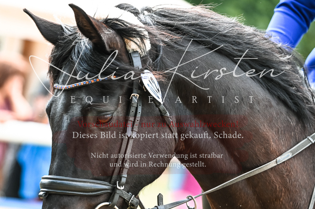 DSC_8989 | Pferde- und Turnierfotografie in Westsachsen. Pferdeportraits, Auftragszeichnungen und intuitive Kunst.