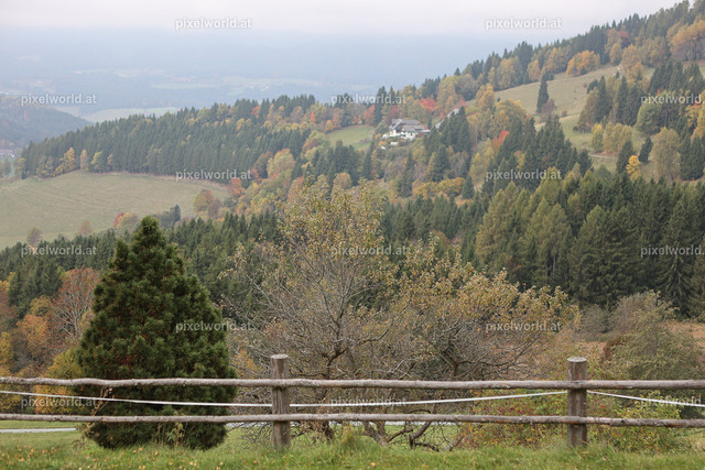 Oktoberfest beim Buggl Volte | Bildershop von pixelworld.at - Realisiert mit Pictrs.com