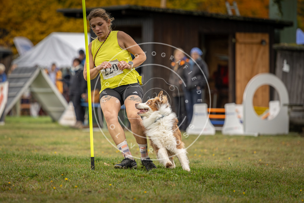 Pfotenfotografie_DV3A3049 | Hundefotografie, Tierfotograf, Pfotenfotografie, Fotoshooting Hund, Hunde Portrait, Hundesport, Hundeportraits, Heideshooting, Hunde, Sportfotograf, Hundefotograf, Turnierhundsport, THS,  - Realisiert mit Pictrs.com