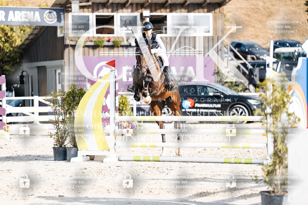 CK909553 | Turnierfotografie Pferdefotografie Trier Rheinland-Pfalz Pferdesport Reitsport Tierfotografie Sportfotografie Pferdevideo Pferdevideografie Equestrianvideography equestrianphotography  - Realisiert mit Pictrs.com